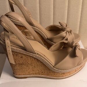 Aldo Abawen platform wedge sandals